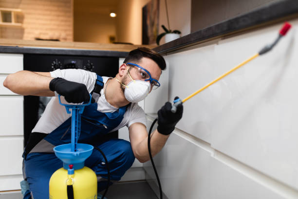 Best Affordable Pest Control Services  in Meadow Vista, CA