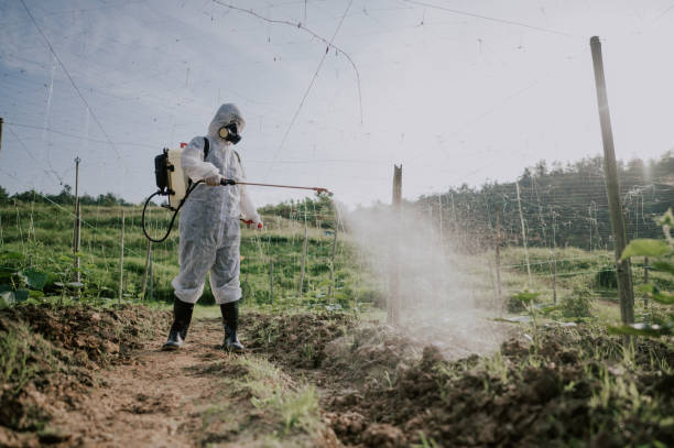 Best Commercial Pest Control Services  in Meadow Vista, CA