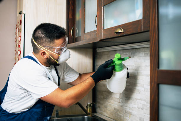 Best Wildlife Control Services  in Meadow Vista, CA
