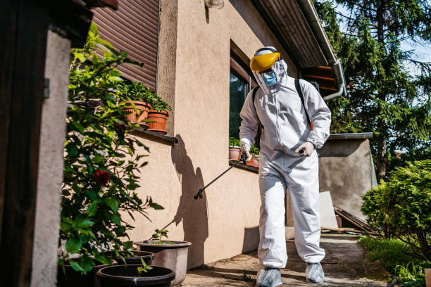 Best Rodent Control Near Me  in Meadow Vista, CA