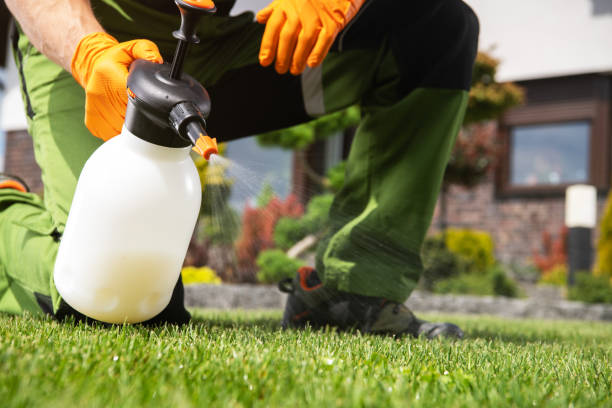 Flea Control Services in Meadow Vista, CA
