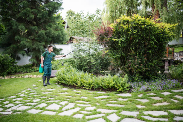 Best Wasp Removal Services  in Meadow Vista, CA