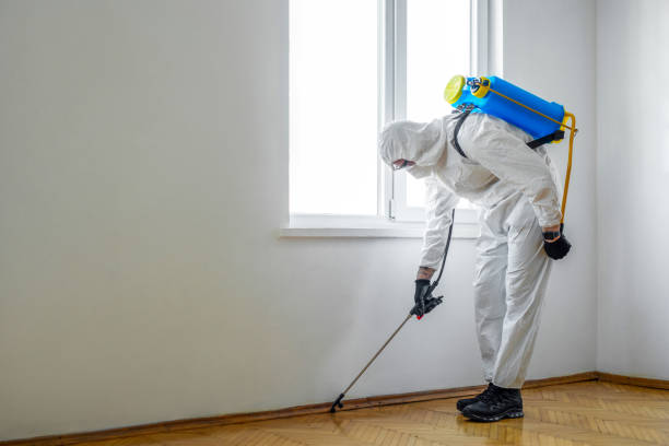 Best Emergency Pest Control  in Meadow Vista, CA