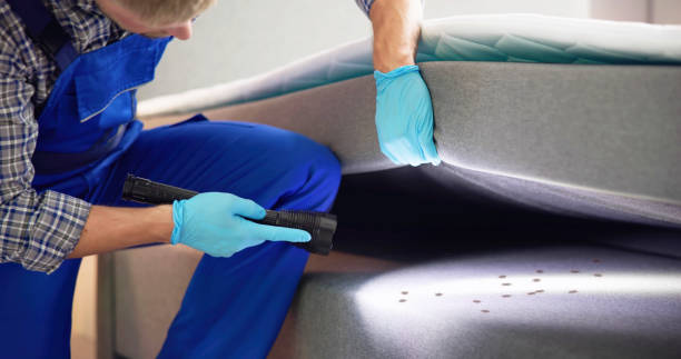  Meadow Vista, CA Pest Control Pros